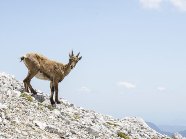 7. 7. 2021 – Den 3.