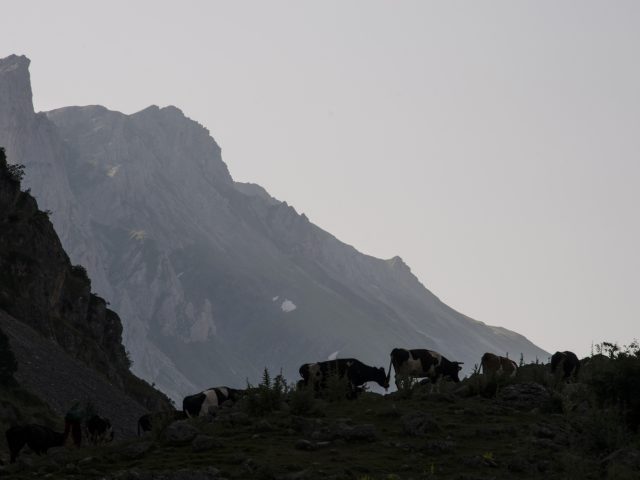 25. 7. 2021 – Den 21.