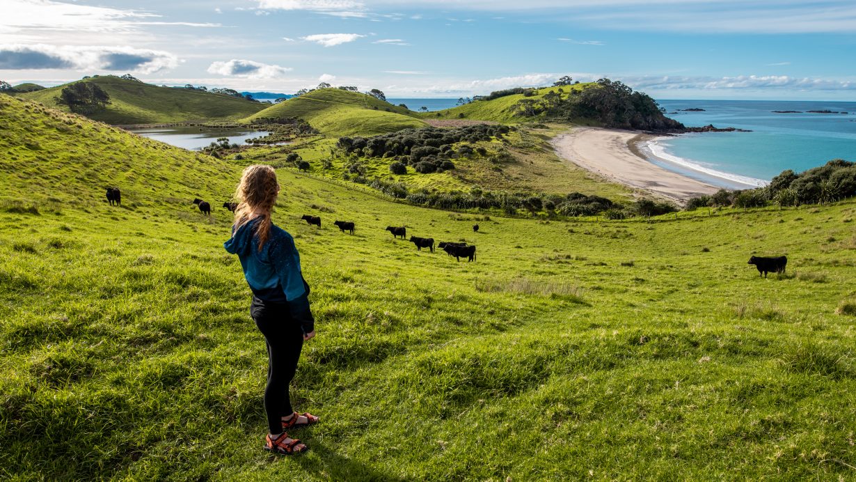 Mimiwhangata